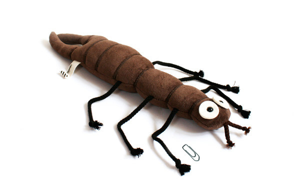 St.Helena Riesenohrwurm